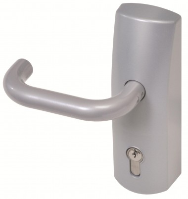 Silver Lever Operated Outside Access Device