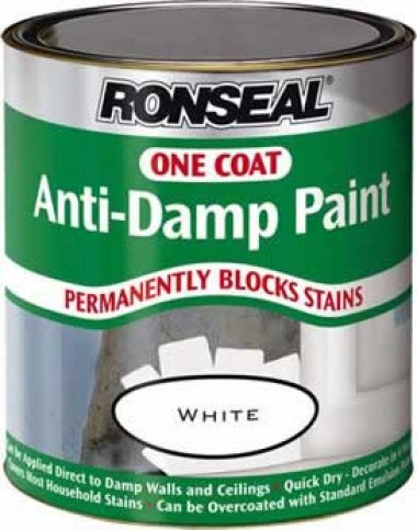 Ronseal anti-damp paint - white