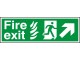 Fire exit signs (public buildings/NHS) 150 x 450mm - Click to Zoom