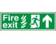 Fire exit signs (public buildings/NHS) 150 x 450mm - Click to Zoom