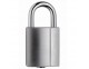 Padlocks - WT10 - Click to Zoom